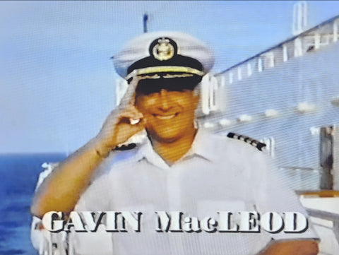 THE LOVE BOAT: A VALENTINE VOYAGE (CBS-TVM 2/12/90) RARE!!! HARD TO FIND!!! Gavin MacLeod, Bernie Kopell, Ted Lange as Isaac Washington, Jill Whelan, Ted Shackelford, Joe Regalbuto, Julia Duffy, Roddy Piper, Steve Bond, Kim Johnston Ulrich, Shanna Reed