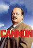 CANNON - THE COMPLETE SERIES + BONUS (CBS 1971-1976) RETAIL QUALITY!!! William Conrad