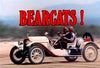 BEARCATS! – THE COMPLETE SERIES + PILOT MOVIE (CBS 1971) EXCELLENT QUALITY!!! Rod Taylor, Dennis Cole