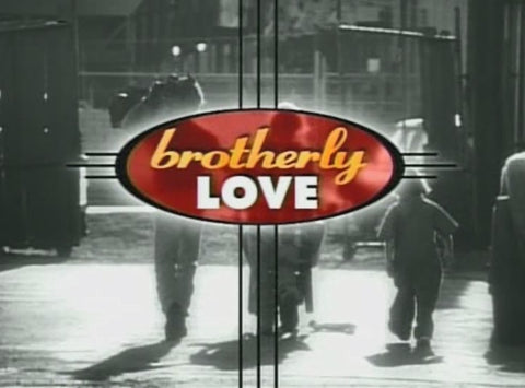 BROTHERLY LOVE - THE COMPLETE SERIES (NBC/WB 1995-97) VERY RARE!!! Joey Lawrence, Matthew Lawrence, and Andrew Lawrence, Liz Vassey, Melinda Culea, Michael McShane